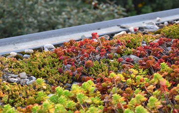 the cost of Blitterlees green roof installation