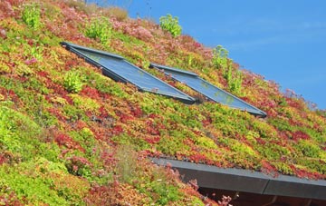 Blitterlees living roof systems