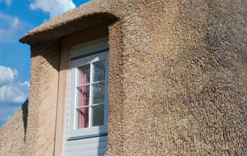 Blitterlees thatch roof disadvantages