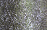 Blitterlees fibreglass roof work